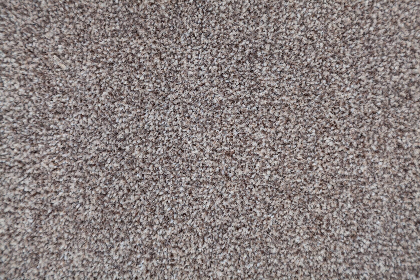 Ковровое покрытие "Bonkeel" Zodiak 39 (ширина 3м) — купить в Калуге