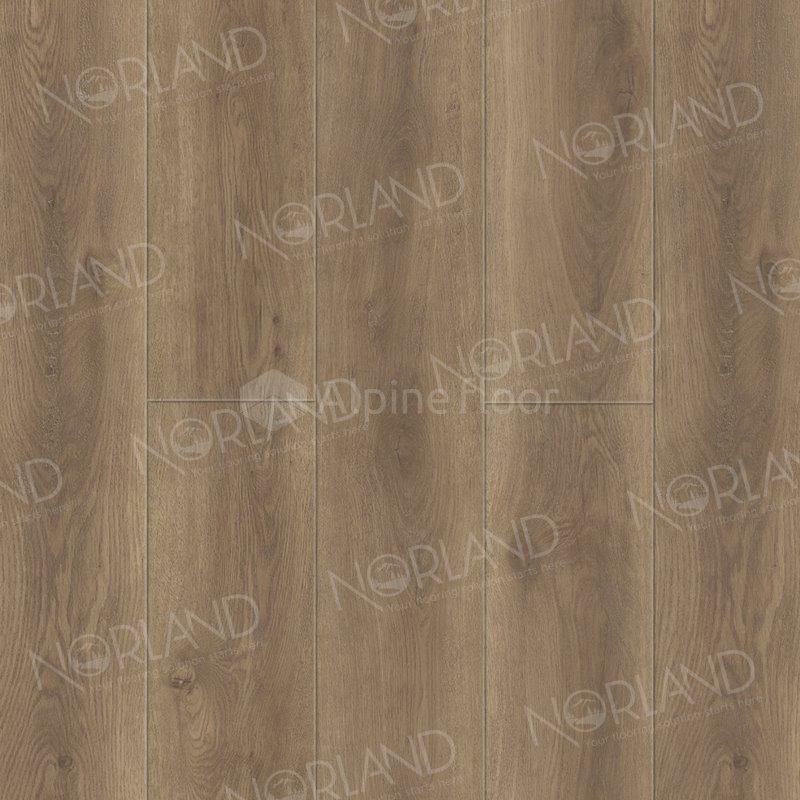 SPC Ламинат "Norland" Tista (1220*196*8 мм) — купить в Калуге