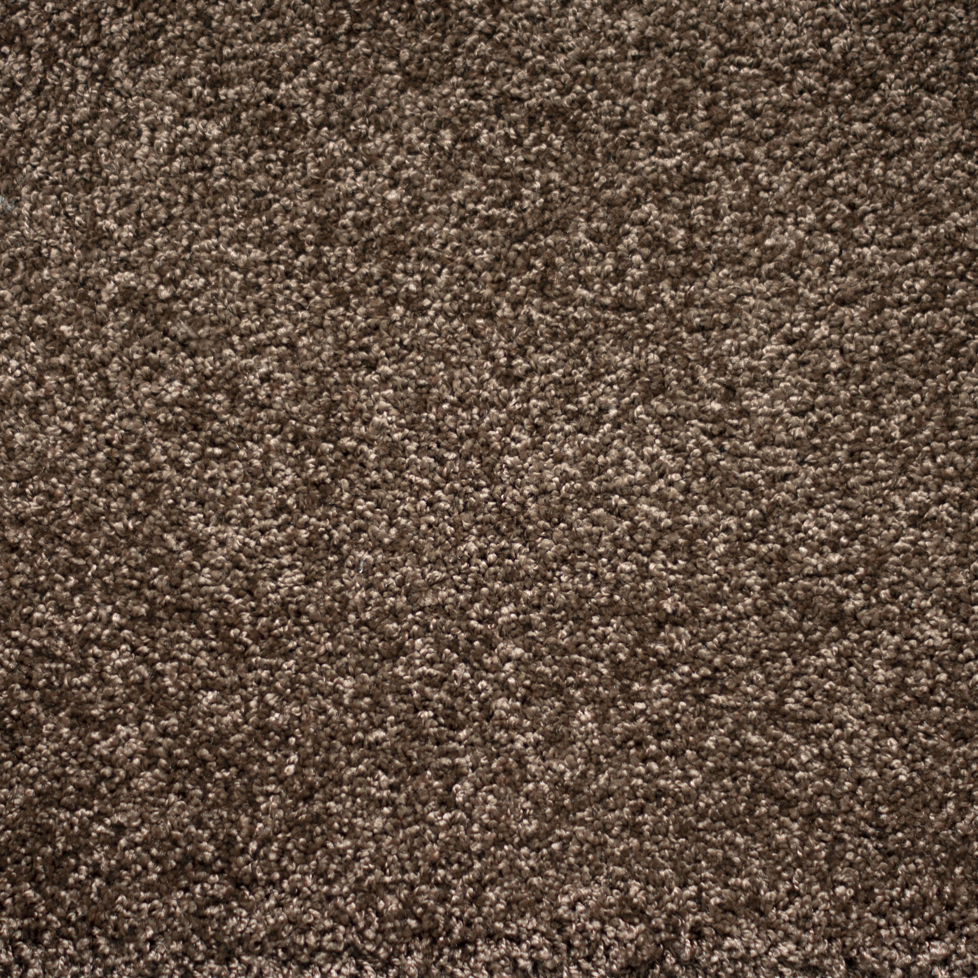 Ковролин "Зартекс" Tesoro 156 коричневый (4м) — купить в Калуге