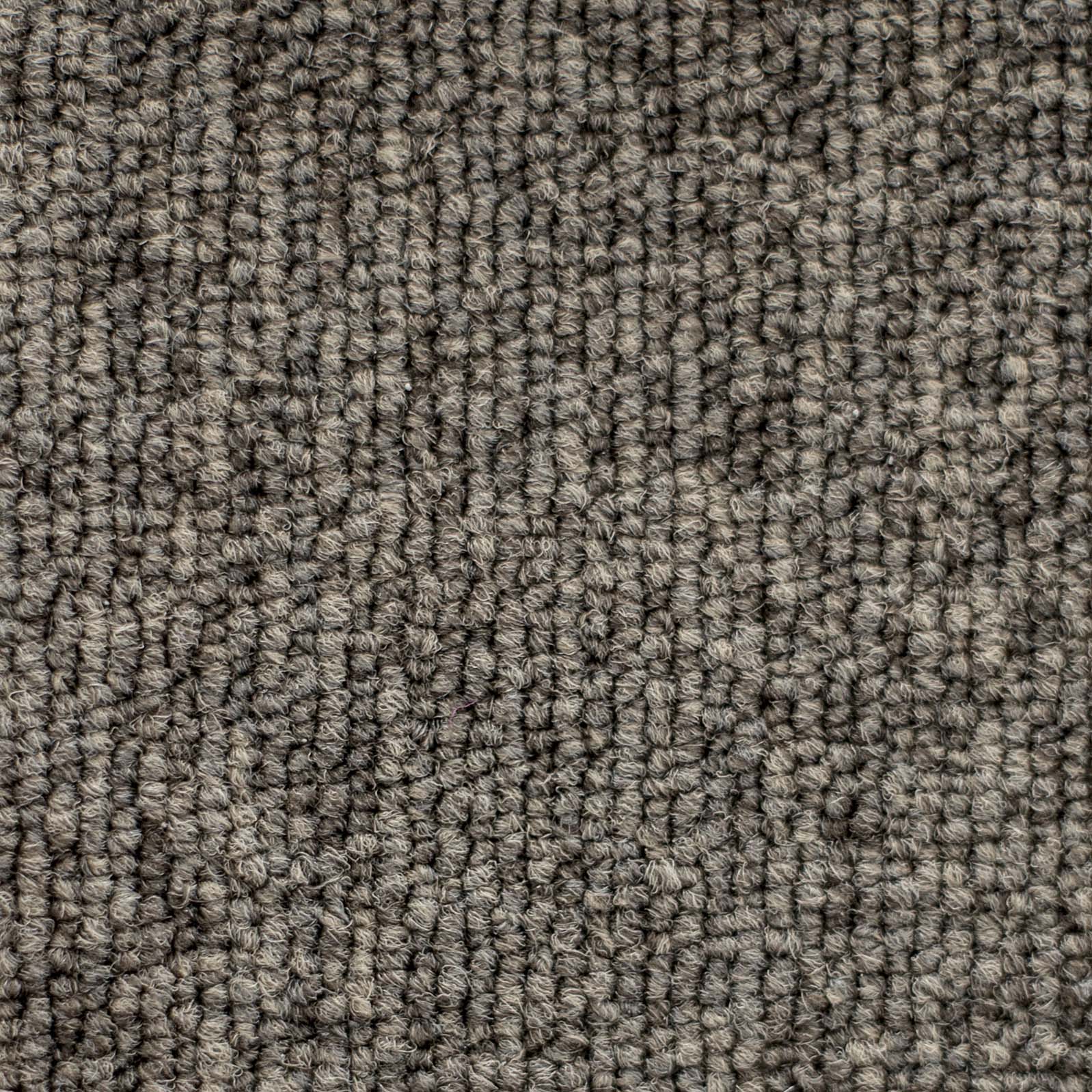 Ковролин "Зартекс" Daily 68 коричневый (4м) — купить в Калуге