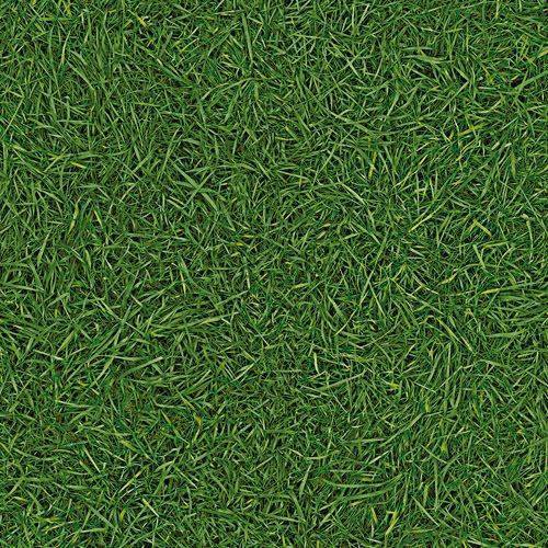 Линолеум бытовой "IVC" Neo Grass 25 (3м) — купить в Калуге