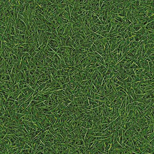 Линолеум бытовой "IVC" Bingo Grass 25 (3м) — купить в Калуге