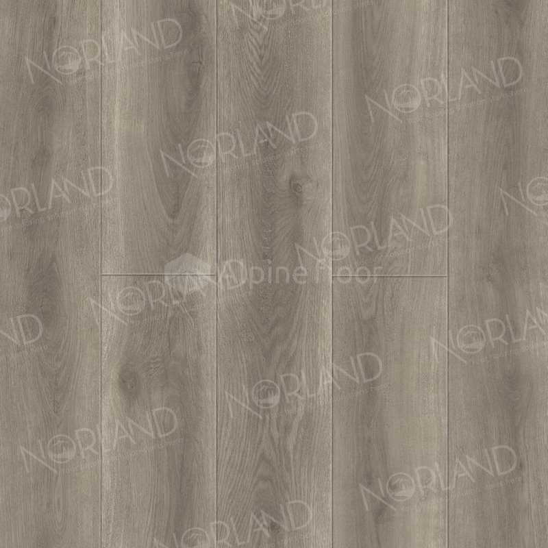 SPC Ламинат "Norland" Templet (1220*196*8 мм) — купить в Калуге