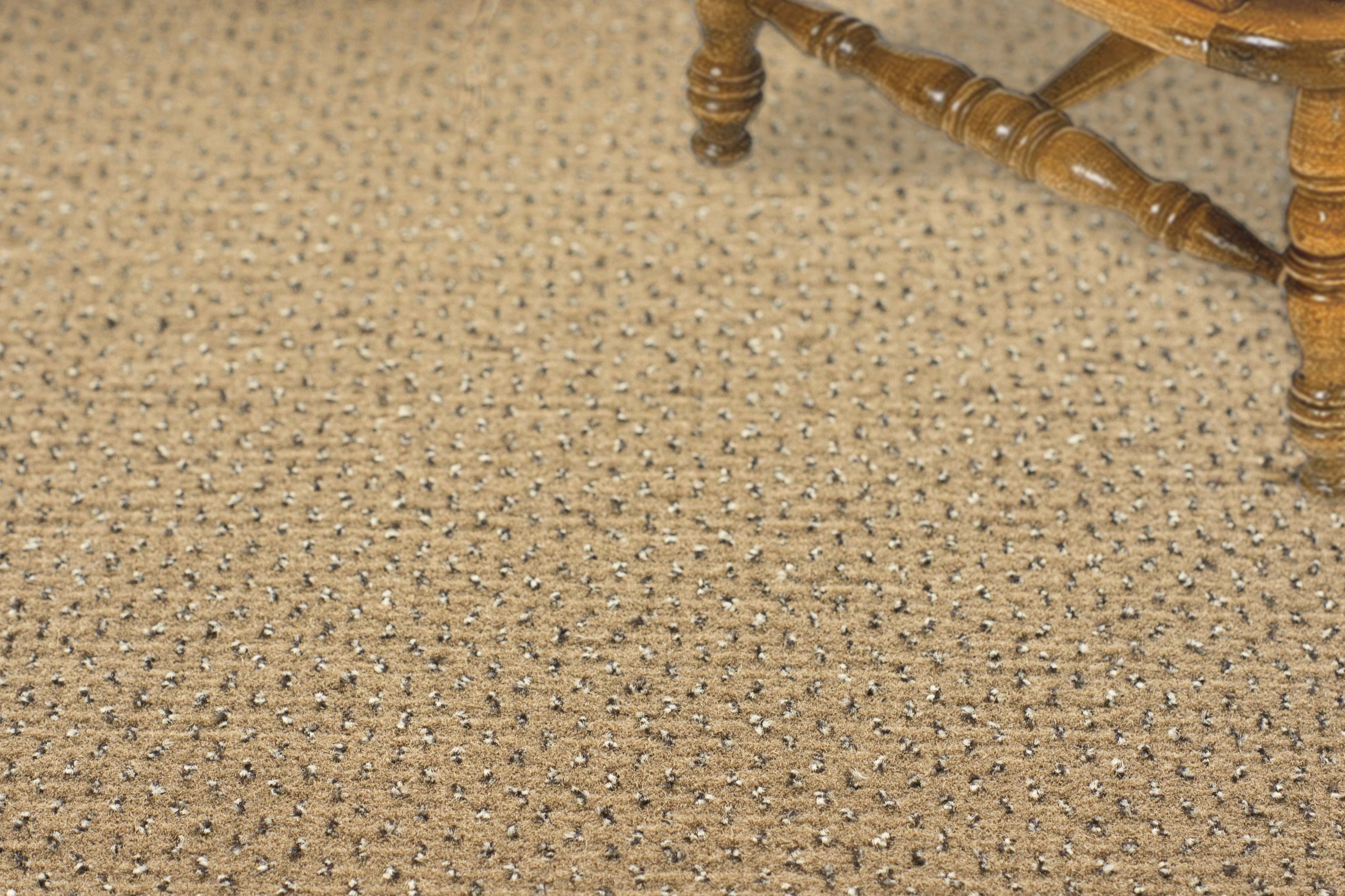 Ковролин "Зартекс" Eternity 142 бежевый (4м) — купить в Калуге