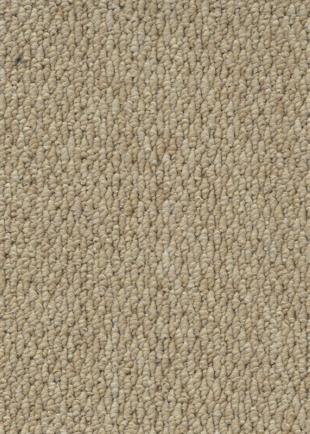 Ковровое покрытие "Bonkeel" Skye 50 (ширина 4м) — купить в Калуге