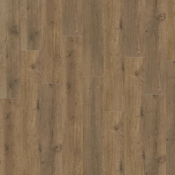 SPC ламинат "Adelar" Eterna Acoustic 05855 Major Oak (1220*181*6 мм) — фото и характеристики