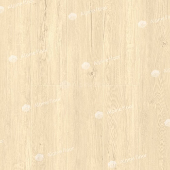 SPC Ламинат &quot;Alpine Floor&quot; Секвойя Калифорния (1220*183*4 мм) — фото и характеристики