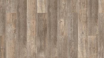 Ламинат "Tarkett" Trophy Agades (1292*194*8 мм) — фото и характеристики